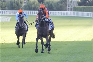 SYDNEY, AUSTRALIA - APRIL 09: Nash Rawiller (R) on Think It over wins race 8 the Longines Queen Elizabeth Stakes during The Championships Day 2, Longines Queen Elizabeth Stakes Day, at Royal Randwick Racecourse on April 09, 2022 in Sydney, Australia. (Photo by Jenny Evans/Getty Images)