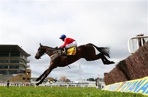 2022 Punchestown Gold Cup Odds - Allaho favourite to win Festival showpiece