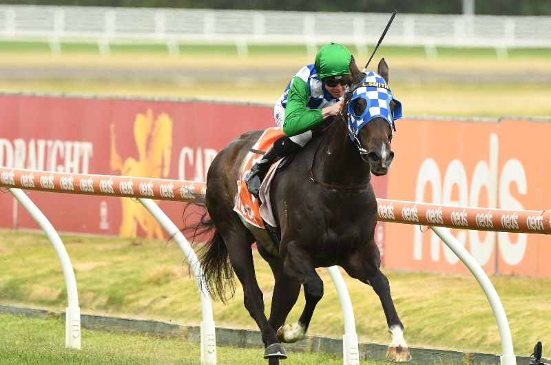 The Goodwood Odds