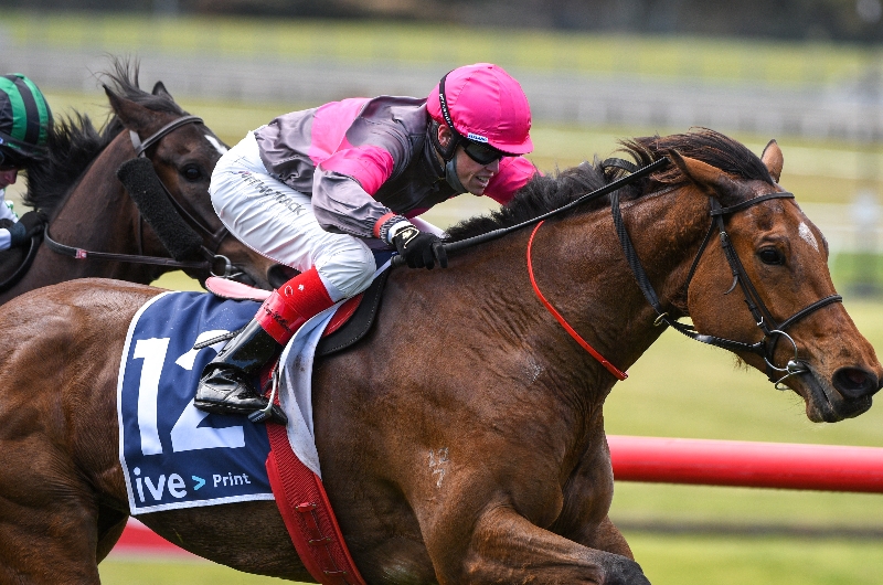 Big Bets for 23.04.2022