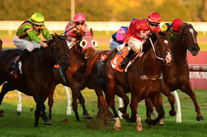 Big Bets Results from 23.04.2022