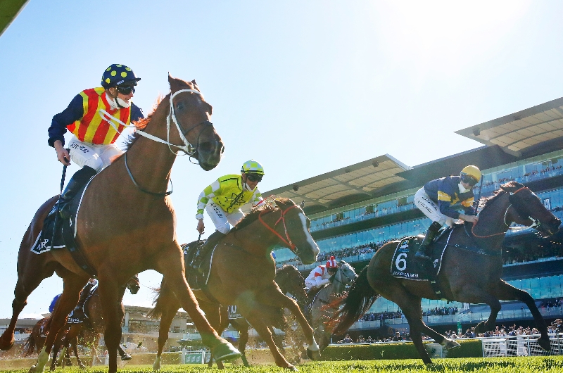 Everest Betting Odds