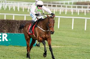 2022 Punchestown Champion Chase Tips - Can Chacun take down the Champion Chaser?