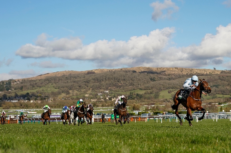 Racing Insider Bet of the Day Tips