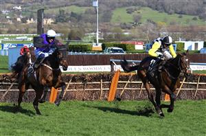 Punchestown Festival Tips - Best betting tips on Day Two