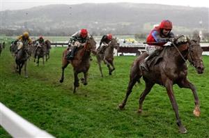 Supreme Novices' Hurdle Odds Entries