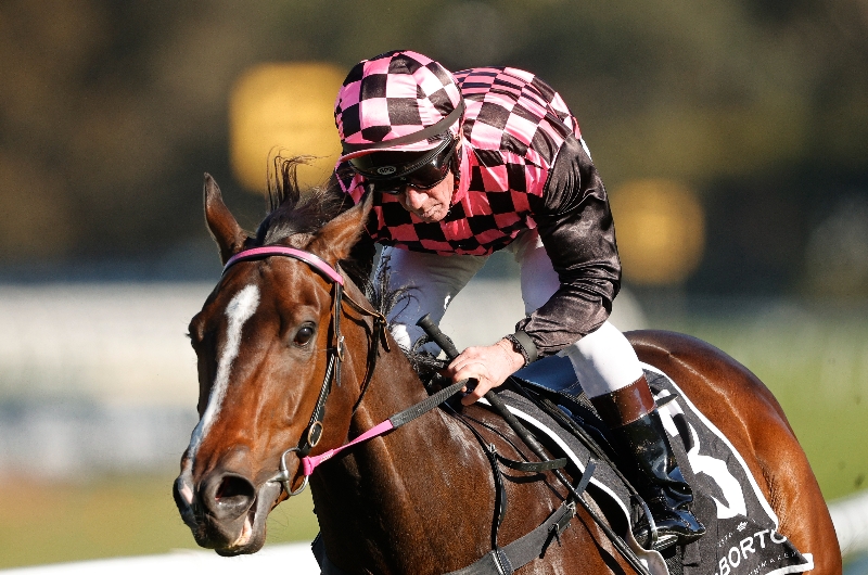Eagle Farm Betting Tips