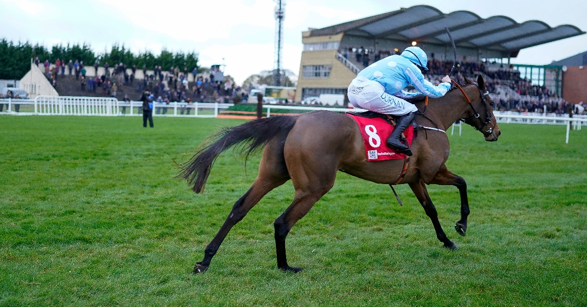 Punchestown Champion Hurdle Live Stream Watch the Punchestown race live