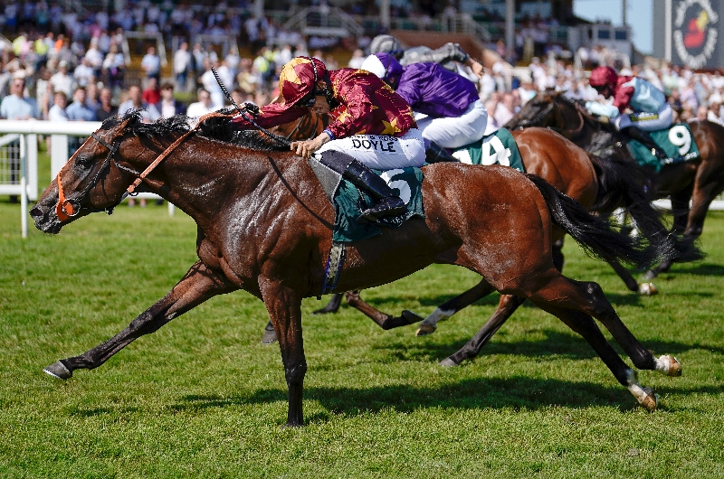 Newspaper racing tips for today ITV Racing tips Newmarket Goodwood April 29 Newspaper racing tips for today ITV Racing tips Newmarket Goodwood April 29