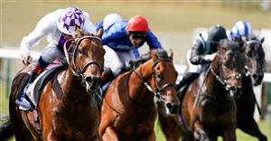 2000 Guineas Live Stream - Watch the Newmarket race online