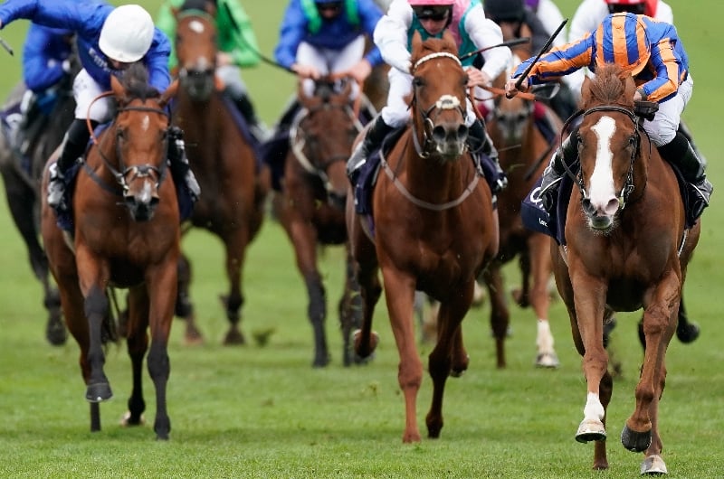 1000 Guineas Live Stream Watch the Newmarket race live