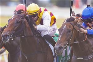 HAWKESBURY, AUSTRALIA - APRIL 30: Rachel King (blue and red) on Exotic Ruby wins race 8 the Pioneer Services Hawkesbury Crown during Hawkesbury Cup Day at Hawkesbury Race Club on April 30, 2022 in Hawkesbury, Australia. (Photo by Jenny Evans/Getty Images)