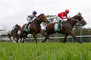 HAWKESBURY, AUSTRALIA - APRIL 30: Chad Schofield on Tycoonist wins race 6 the Hawkesbury Xxxx Gold Rush during Hawkesbury Cup Day at Hawkesbury Race Club on April 30, 2022 in Hawkesbury, Australia. (Photo by Jenny Evans/Getty Images)