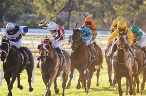 Hawkesbury Cup Day Highlights