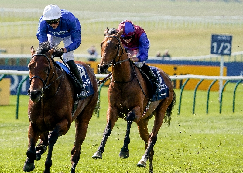 2000 guineas