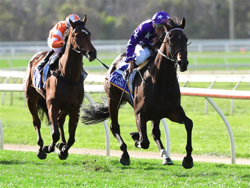 WARRNAMBOOL, AUSTRALIA - MAY 03: Damien Oliver riding Bermadez winning Race 8,  the Magic Millions National Sale Handicap, during Brierly Steeplechase day at Warrnambool Racing Club on May 03, 2022 in Warrnambool, Australia. (Photo by Vince Caligiuri/Getty Images)