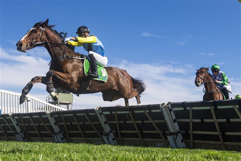 WARRNAMBOOL, AUSTRALIA - MAY 03: Will Gordon riding Count Zero winning Race 2, the Cally Hotel Maiden Hurdle,  during Brierly Steeplechase day at Warrnambool Racing Club on May 03, 2022 in Warrnambool, Australia. (Photo by Vince Caligiuri/Getty Images)