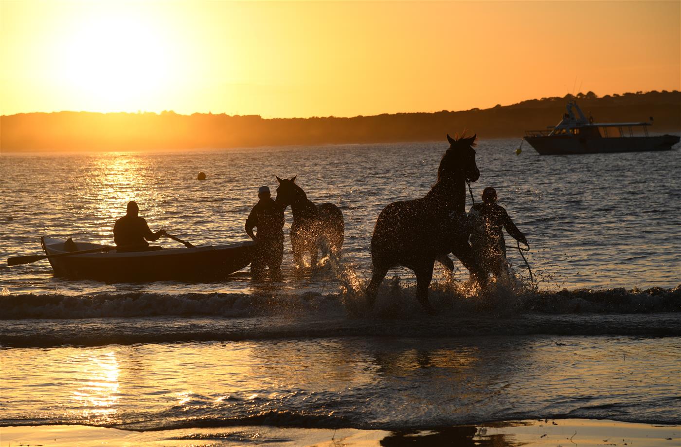 WARRNAMBOOL, AUSTRALIA - MAY 03: General view of Matthew Williams racing during a trackwork session at Lady Bay beach on May 03, 2022 in Warrnambool, Australia. (Photo by Vince Caligiuri/Getty Images)