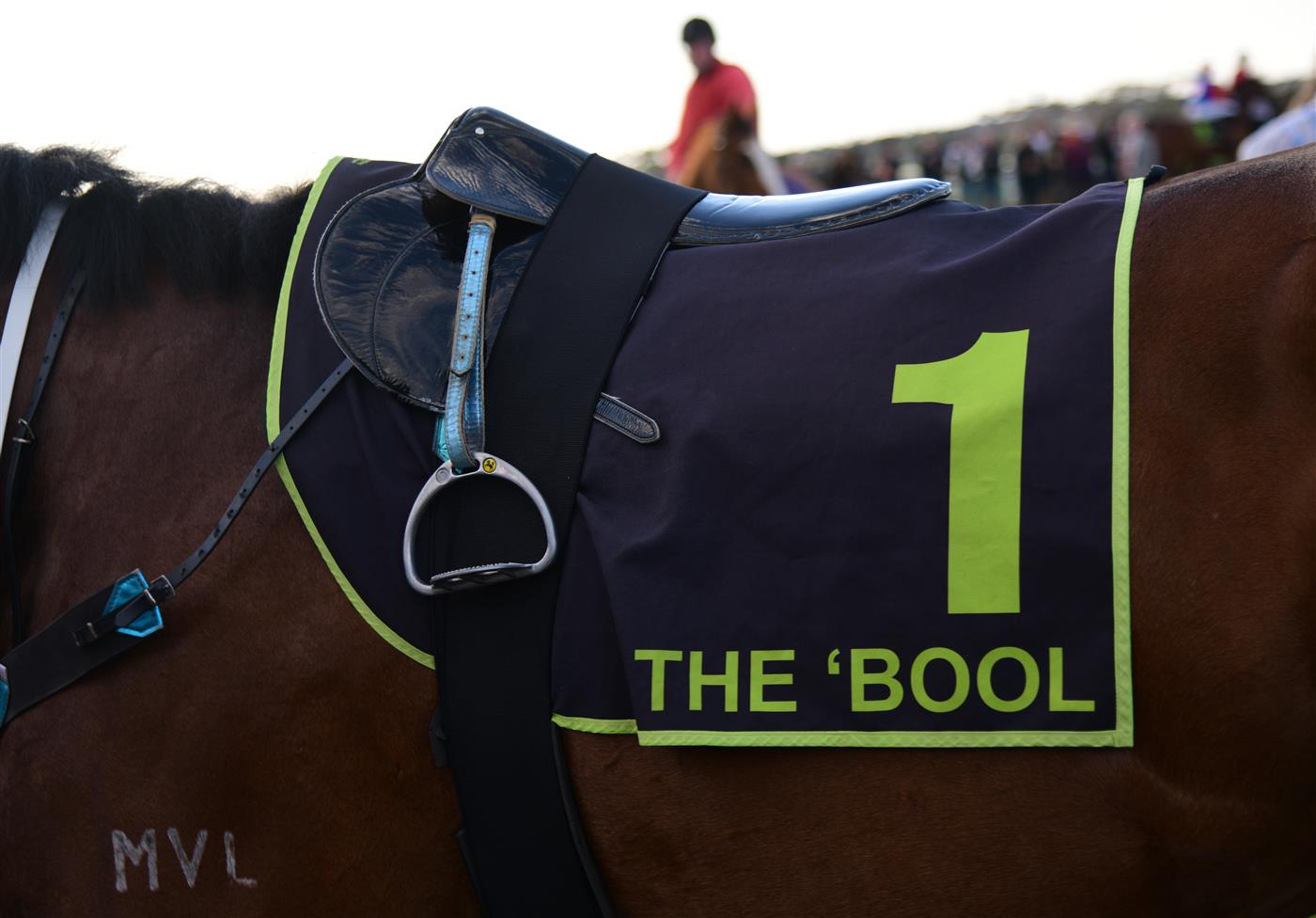 WARRNAMBOOL, AUSTRALIA - MAY 03: General view of number one saddle cloth The Bool in Race 10 , the Thoroughbred Club Of Australia Bm64, during Brierly Steeplechase day at Warrnambool Racing Club on May 03, 2022 in Warrnambool, Australia. (Photo by Vince Caligiuri/Getty Images)
