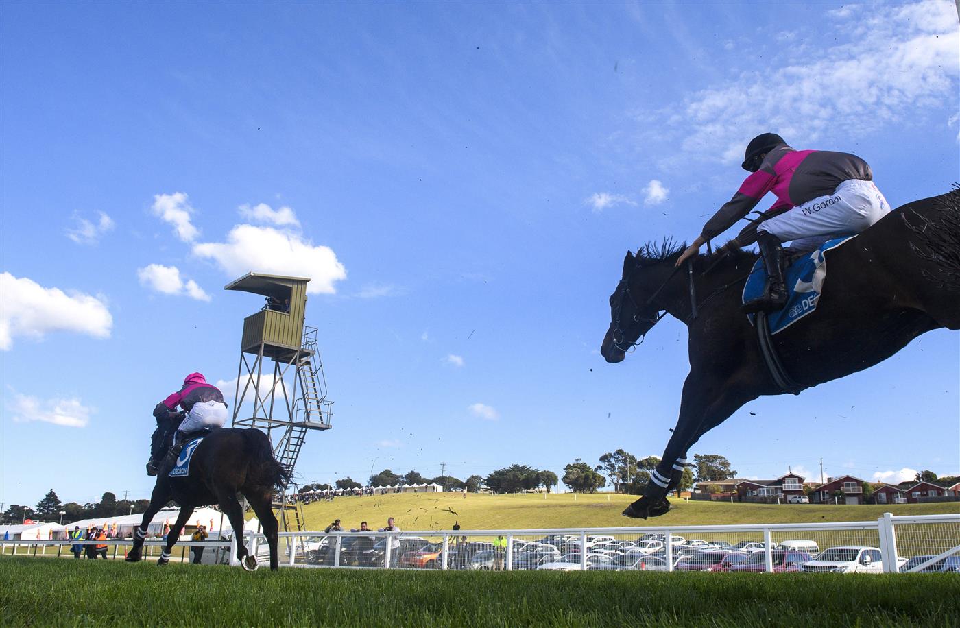 WARRNAMBOOL, AUSTRALIA - MAY 03: Will Gordon riding  Vanguard jumps the last steeple before winning Race 6, the 3yb Fm Brierly Steeplechase, during Brierly Steeplechase day at Warrnambool Racing Club on May 03, 2022 in Warrnambool, Australia. (Photo by Vince Caligiuri/Getty Images)