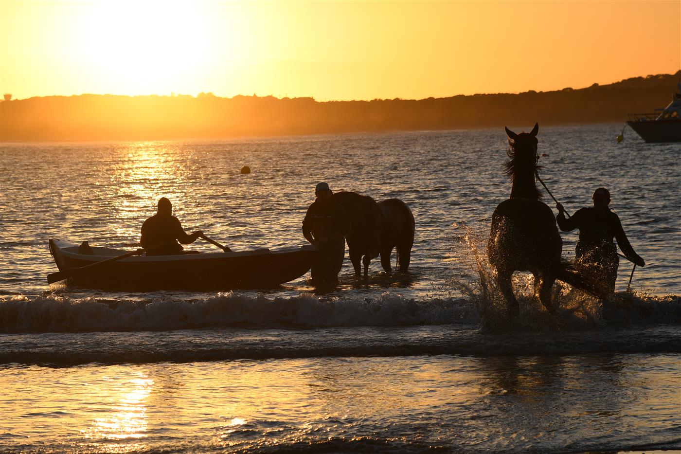 WARRNAMBOOL, AUSTRALIA - MAY 03: General view of Matthew Williams racing during a trackwork session at Lady Bay beach on May 03, 2022 in Warrnambool, Australia. (Photo by Vince Caligiuri/Getty Images)