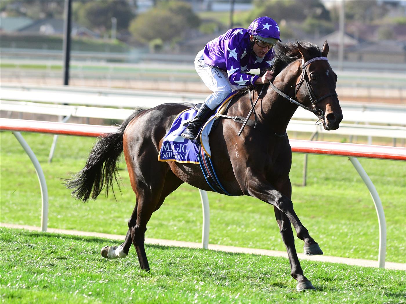 WARRNAMBOOL, AUSTRALIA - MAY 03: Damien Oliver riding Bermadez winning Race 8,  the Magic Millions National Sale Handicap, during Brierly Steeplechase day at Warrnambool Racing Club on May 03, 2022 in Warrnambool, Australia. (Photo by Vince Caligiuri/Getty Images)