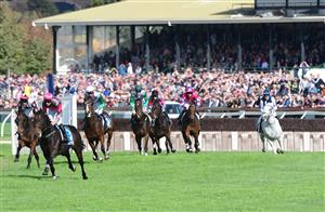 WARRNAMBOOL, AUSTRALIA - MAY 03: Arron Lynch riding Britannicus leads the field in the first lap in Race 6, the 3yb Fm Brierly Steeplechase, during Brierly Steeplechase day at Warrnambool Racing Club on May 03, 2022 in Warrnambool, Australia. (Photo by Vince Caligiuri/Getty Images)