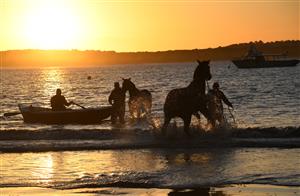 WARRNAMBOOL, AUSTRALIA - MAY 03: General view of Matthew Williams racing during a trackwork session at Lady Bay beach on May 03, 2022 in Warrnambool, Australia. (Photo by Vince Caligiuri/Getty Images)