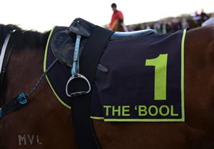 WARRNAMBOOL, AUSTRALIA - MAY 03: General view of number one saddle cloth The Bool in Race 10 , the Thoroughbred Club Of Australia Bm64, during Brierly Steeplechase day at Warrnambool Racing Club on May 03, 2022 in Warrnambool, Australia. (Photo by Vince Caligiuri/Getty Images)