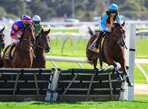 WARRNAMBOOL, AUSTRALIA - MAY 03: Will Gordon riding Count Zero winning Race 2, the Cally Hotel Maiden Hurdle, during Brierly Steeplechase day at Warrnambool Racing Club on May 03, 2022 in Warrnambool, Australia. (Photo by Vince Caligiuri/Getty Images)