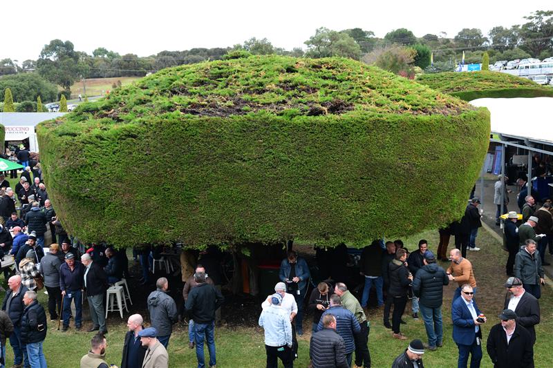 WARRNAMBOOL, AUSTRALIA - MAY 04: General view of racegoers during Galleywood Hurdle day at Warrnambool Racing Club on May 04, 2022 in Warrnambool, Australia. (Photo by Vince Caligiuri/Getty Images)