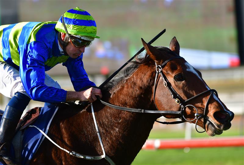 WARRNAMBOOL, AUSTRALIA - MAY 04: Hugh Bowman riding Flash Flood winning Race 9, the Prydes Easifeed Bm70 Handicap,  during Galleywood Hurdle day at Warrnambool Racing Club on May 04, 2022 in Warrnambool, Australia. (Photo by Vince Caligiuri/Getty Images)