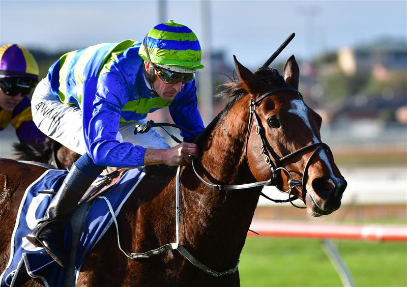 WARRNAMBOOL, AUSTRALIA - MAY 04: Hugh Bowman riding Flash Flood winning Race 9, the Prydes Easifeed Bm70 Handicap,  during Galleywood Hurdle day at Warrnambool Racing Club on May 04, 2022 in Warrnambool, Australia. (Photo by Vince Caligiuri/Getty Images)