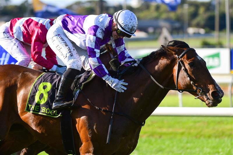 WARRNAMBOOL, AUSTRALIA - MAY 04: Madison Lloyd riding Frankie Pinot defeats Damien Oliver riding Showmanship (3rd place) in Race 8,  the The Midfield Group Wangoom Handicap, during Galleywood Hurdle day at Warrnambool Racing Club on May 04, 2022 in Warrnambool, Australia. (Photo by Vince Caligiuri/Getty Images)