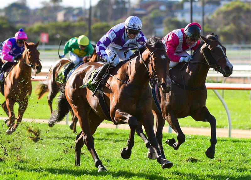 WARRNAMBOOL, AUSTRALIA - MAY 04: Madison Lloyd riding Frankie Pinot defeats Damien Oliver riding Showmanship (3rd place) in Race 8,  the The Midfield Group Wangoom Handicap, during Galleywood Hurdle day at Warrnambool Racing Club on May 04, 2022 in Warrnambool, Australia. (Photo by Vince Caligiuri/Getty Images)