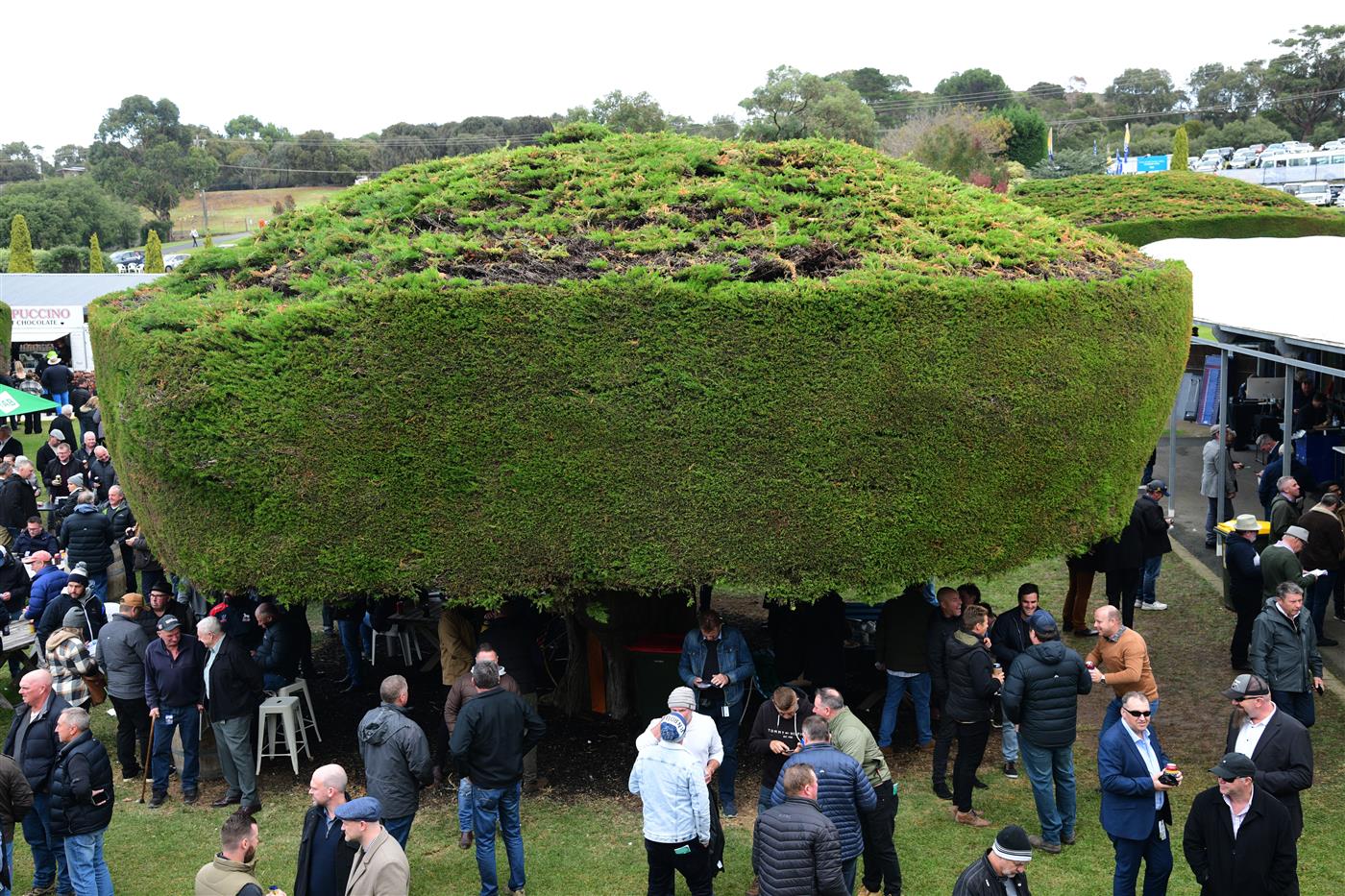 WARRNAMBOOL, AUSTRALIA - MAY 04: General view of racegoers during Galleywood Hurdle day at Warrnambool Racing Club on May 04, 2022 in Warrnambool, Australia. (Photo by Vince Caligiuri/Getty Images)