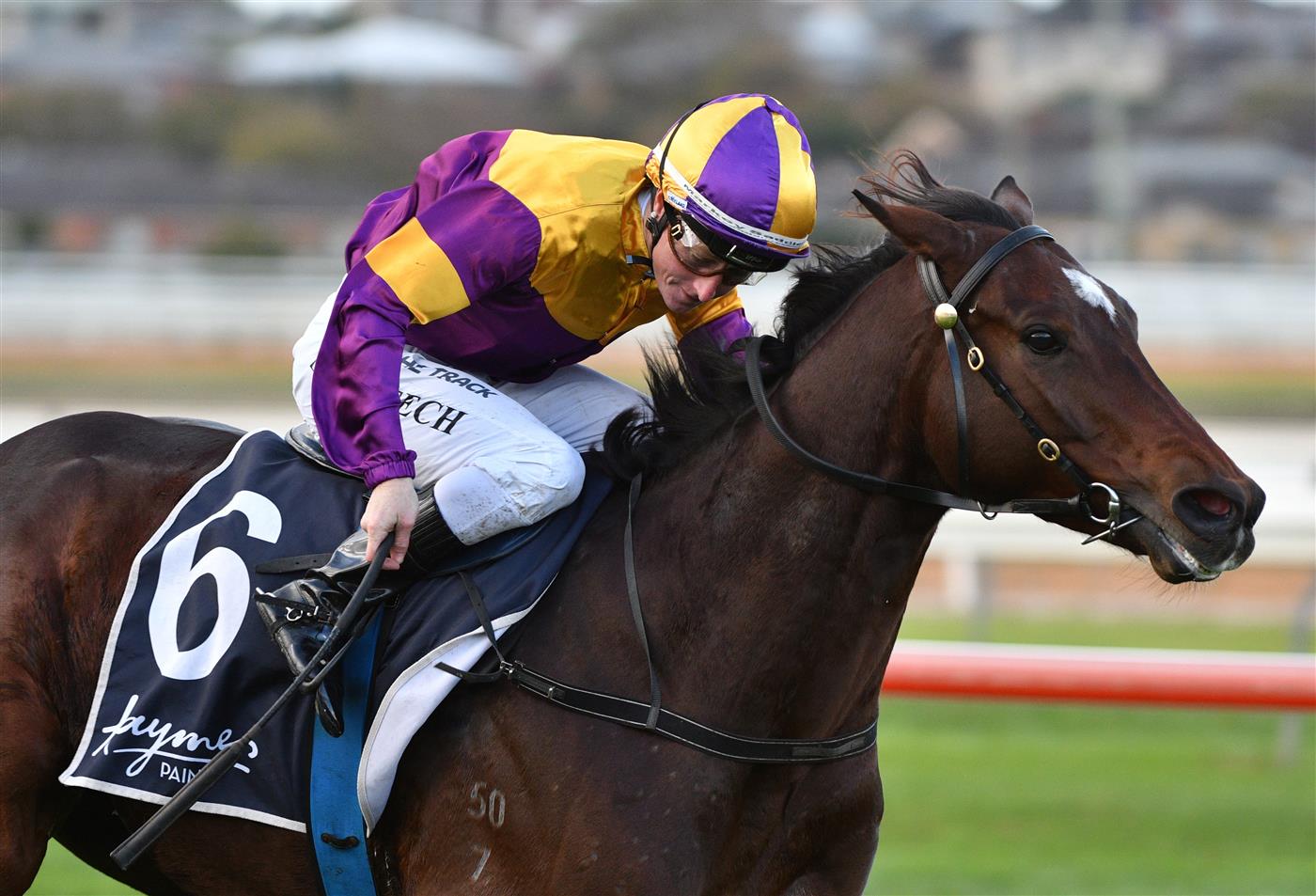 WARRNAMBOOL, AUSTRALIA - MAY 04: Linda Meech riding Mark of the Man winning Race 10 , the Whalers Hotel Bm64 Handicap, during Galleywood Hurdle day at Warrnambool Racing Club on May 04, 2022 in Warrnambool, Australia. (Photo by Vince Caligiuri/Getty Images)