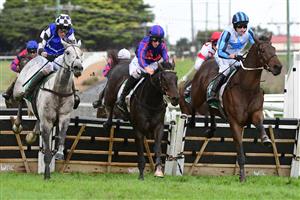 WARRNAMBOOL, AUSTRALIA - MAY 04: Steven Pateman riding Saunter Boy (L) jumps the second last jump with Will Gordon riding St Arnicca and Lee Horner riding Out and Dreaming (r) before winning Race 6, the Sovereign Resort Galleywood Hurdle, during Galleywood Hurdle day at Warrnambool Racing Club on May 04, 2022 in Warrnambool, Australia. (Photo by Vince Caligiuri/Getty Images)