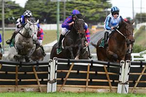 WARRNAMBOOL, AUSTRALIA - MAY 04: Steven Pateman riding Saunter Boy (L) jumps the second last jump with Will Gordon riding St Arnicca and Lee Horner riding Out and Dreaming (r) before winning Race 6, the Sovereign Resort Galleywood Hurdle, during Galleywood Hurdle day at Warrnambool Racing Club on May 04, 2022 in Warrnambool, Australia. (Photo by Vince Caligiuri/Getty Images)