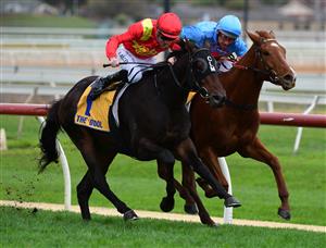 WARRNAMBOOL, AUSTRALIA - MAY 04: John Allen riding Jamarra defeats Damien Oliver riding Yellow Sam in Race 1, the Warrnambool City Volkswagen 2yo Handicap, during Galleywood Hurdle day at Warrnambool Racing Club on May 04, 2022 in Warrnambool, Australia. (Photo by Vince Caligiuri/Getty Images)