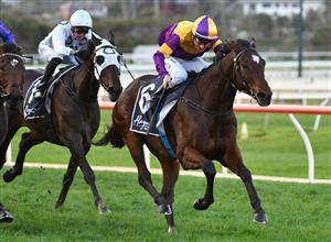 WARRNAMBOOL, AUSTRALIA - MAY 04: Linda Meech riding Mark of the Man winning Race 10 , the Whalers Hotel Bm64 Handicap, during Galleywood Hurdle day at Warrnambool Racing Club on May 04, 2022 in Warrnambool, Australia. (Photo by Vince Caligiuri/Getty Images)