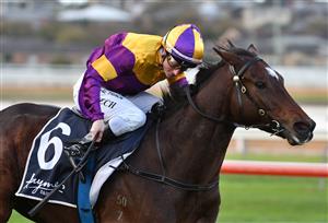 WARRNAMBOOL, AUSTRALIA - MAY 04: Linda Meech riding Mark of the Man winning Race 10 , the Whalers Hotel Bm64 Handicap, during Galleywood Hurdle day at Warrnambool Racing Club on May 04, 2022 in Warrnambool, Australia. (Photo by Vince Caligiuri/Getty Images)