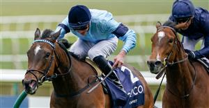 1000 Guineas Live Stream - Watch the Newmarket race online