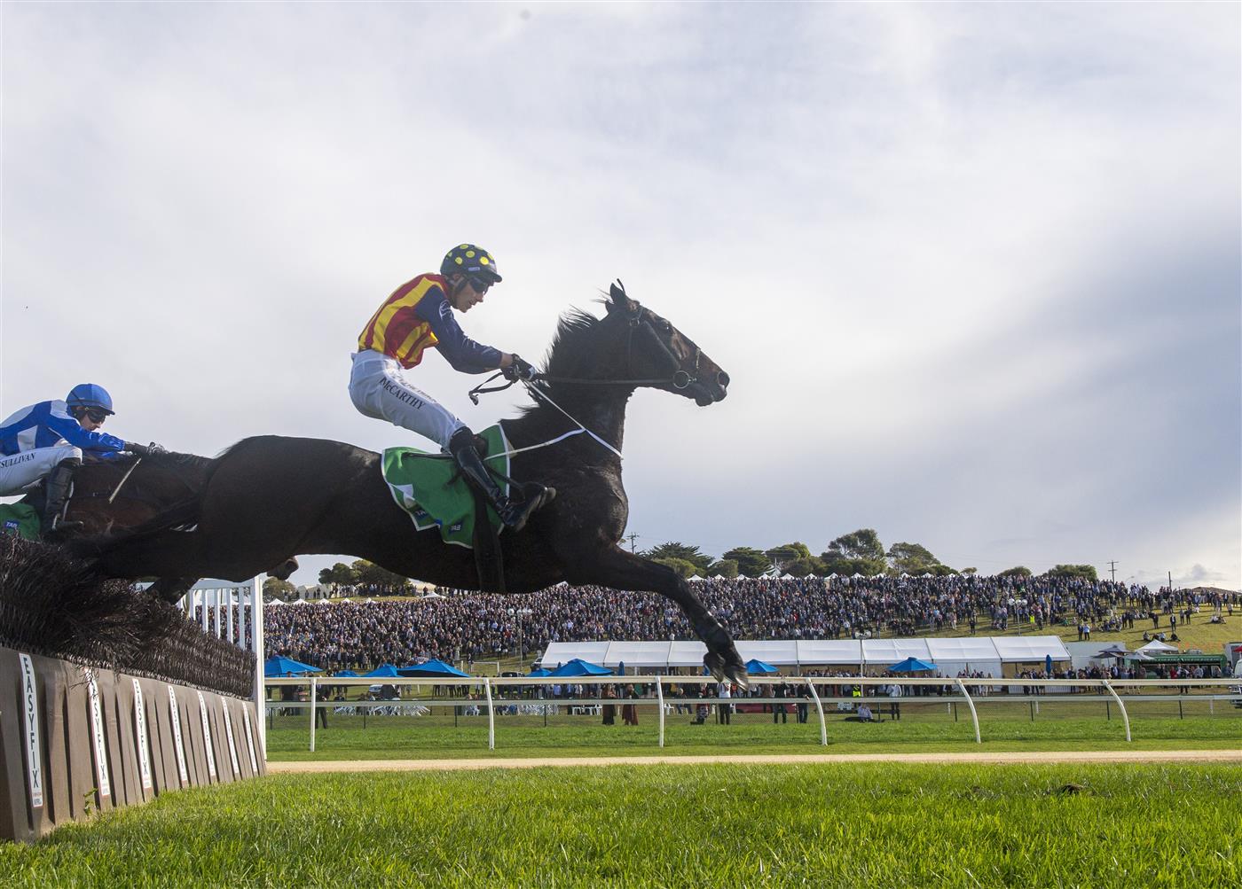 WARRNAMBOOL, AUSTRALIA - MAY 05:  William McCarthy riding Heberite jumping in the first lap during win in Race 7, the Lyndoch Living Grand Annual Steeplechase, during Grand Annual day at Warrnambool Racing Club on May 05, 2022 in Warrnambool, Australia. (Photo by Vince Caligiuri/Getty Images)