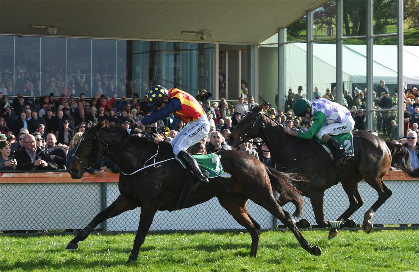 WARRNAMBOOL, AUSTRALIA - MAY 05:  William McCarthy riding Heberite winning Race 7, the Lyndoch Living Grand Annual Steeplechase, during Grand Annual day at Warrnambool Racing Club on May 05, 2022 in Warrnambool, Australia. (Photo by Vince Caligiuri/Getty Images)