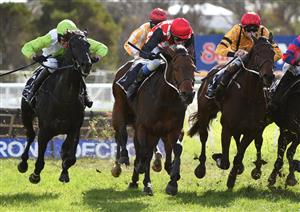 WARRNAMBOOL, AUSTRALIA - MAY 05: Darryl Horner (Jnr) riding El Diez (r) before winning Race 1, the Hammonds Paints Champion Novice Hurdle, during Grand Annual day at Warrnambool Racing Club on May 05, 2022 in Warrnambool, Australia. (Photo by Vince Caligiuri/Getty Images)