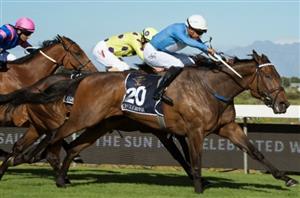 south africa horse racing