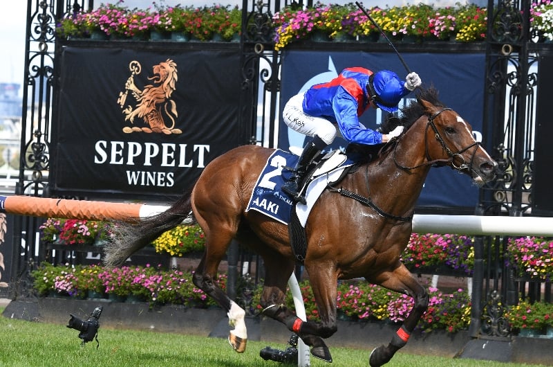 Big Bets Results from 07.05.2022