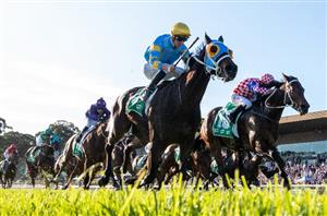 Saturday Blackbookers & Horses To Follow from May 7