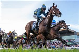 Gosford Highlights
